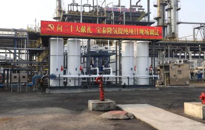 向二十大献礼|TapTap点点氢提纯项目建成调试