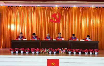 TapTap点点党委换届选举党员大会胜利召开